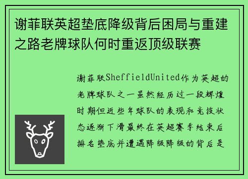 谢菲联英超垫底降级背后困局与重建之路老牌球队何时重返顶级联赛 谢菲联英超垫底降级背后困局与重建之路老牌球队何时重返顶级联赛